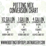 Pothos & Scindapsus Premium Potting Mix