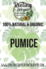 Pumice Soil Amendment