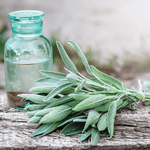 Kitchen Sage – 50 Seeds