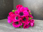 Anemone Corms-Pink