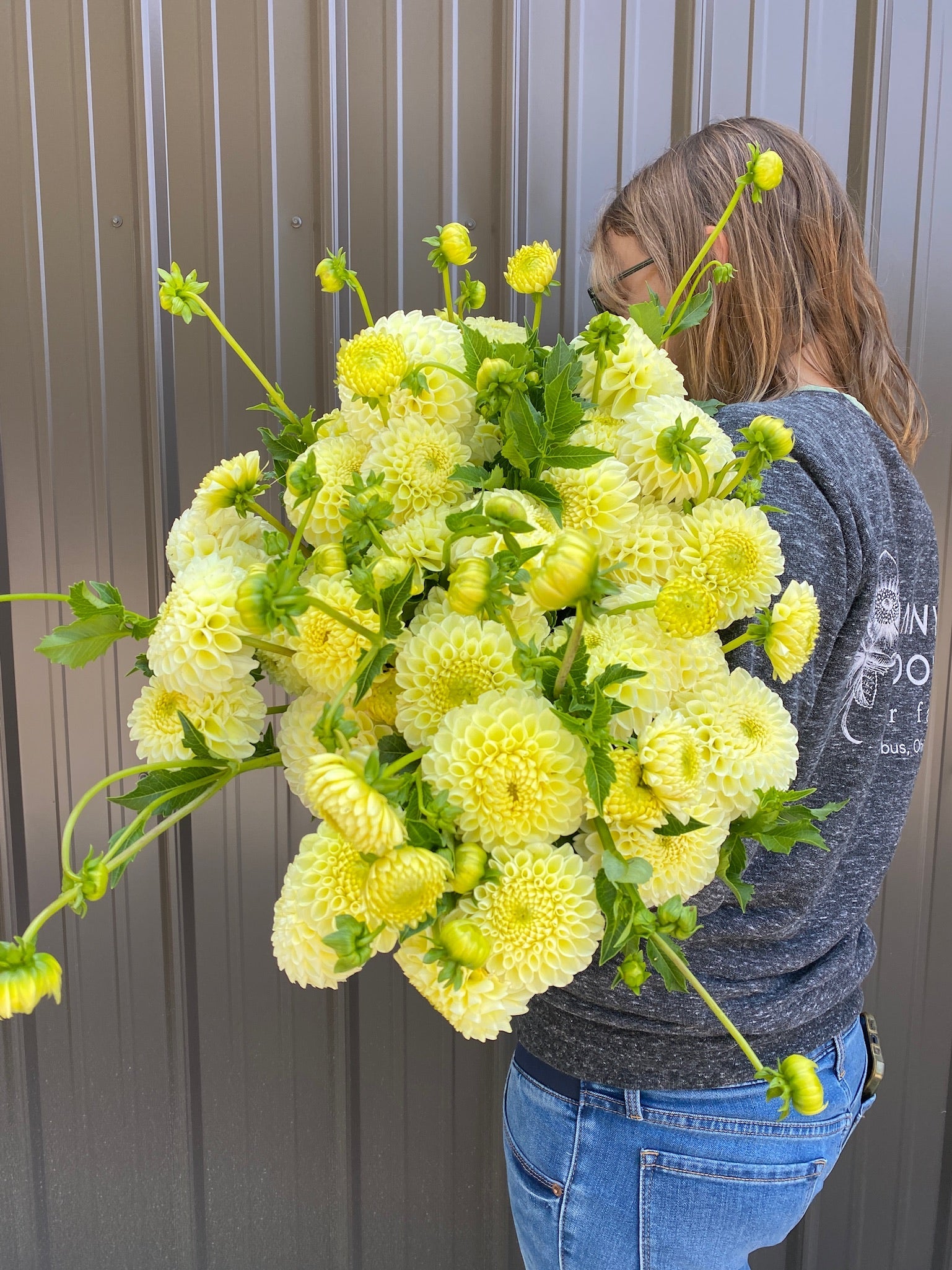 Dahlia Tuber MM Buttercream